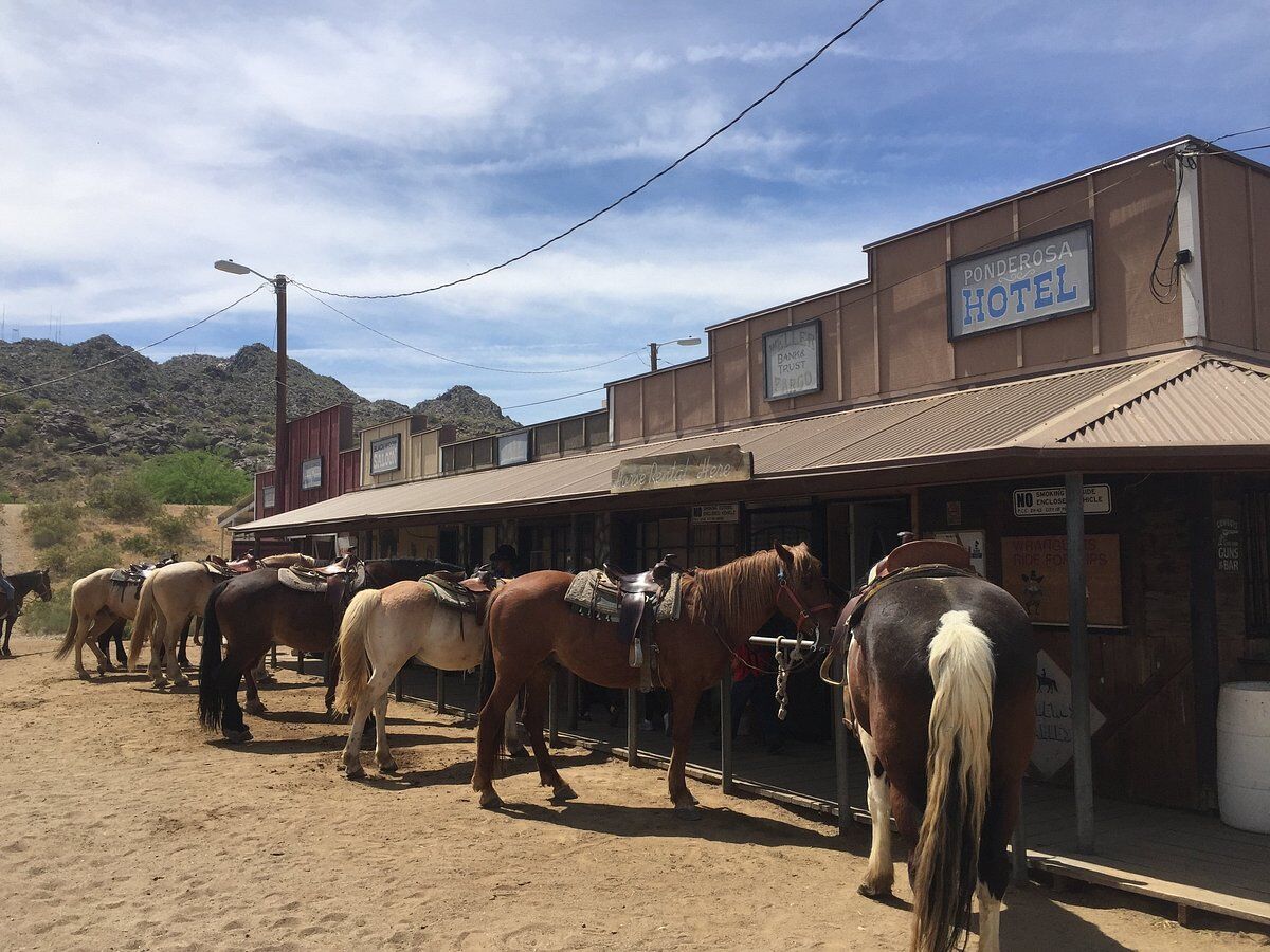 arizona-horses-home-footer-bottom3